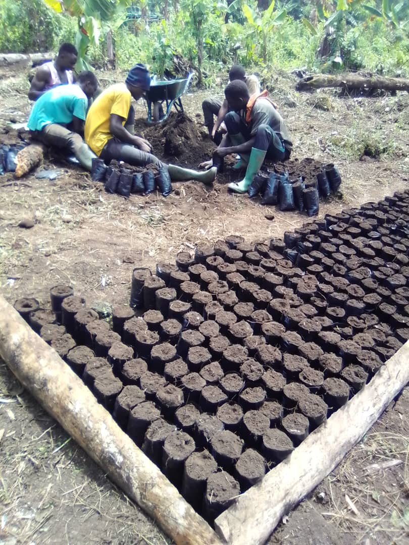 Préparation de sachets de pépinière pour semis